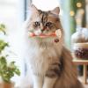 Catnip Chew Toy for Cats view 3
