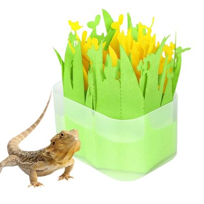 Tortoise Box Humidifier