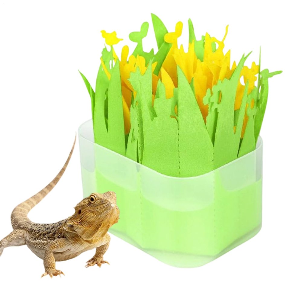 Tortoise Box Humidifier