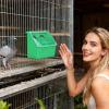 Large Capacity Bird Feeder view 2