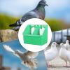 Large Capacity Bird Feeder view 4