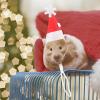Christmas Hamster Hat view 2