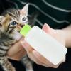 Kitten Feeding Bottle Set - 7 Piece view 3