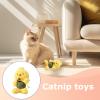 Catnip Toy for Cats - Interactive Catnip Ball view 4
