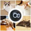 Interactive Cat Balls with Sound view 4