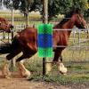 Livestock Scratch Brush for Back Massage view 2