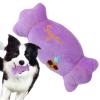 Generico Dog Toy with Squeaker, Plush Dog Toy view 1