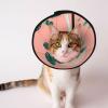 Custom Pet Cone, Unique Design, Cat and Dog Cone, Recovery Collar, Adjustable Neck, Potted Greens Display, Size M view 1