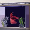 Black Aquarium Background view 3