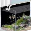 Black Aquarium Background Paper view 2