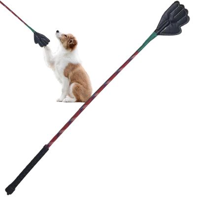 Dog Training Stick, Portable Flirt Pole for Small Dogs, Ergonomic