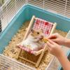 Adjustable Hamster Lounge view 3