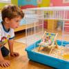 Adjustable Hamster Lounge view 2