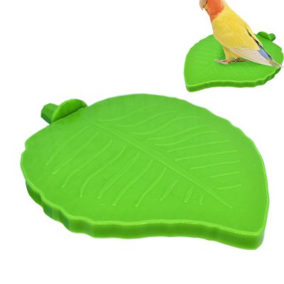 Leaf Design Stand for Birds