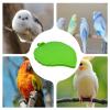 Leaf Design Stand for Birds view 4