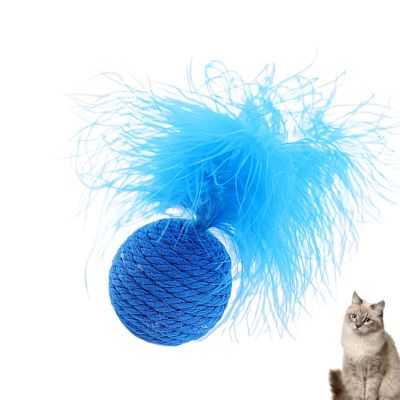 Cat Feather Toy - Interactive Chew Ball for Pets
