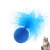 Cat Feather Toy - Interactive Chew Ball for Pets view 1