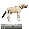 Dog Tail Cover for Wound Care and Protection view 4