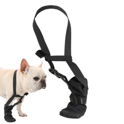 Adjustable Elbow Support for Dogs