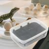 Gecko Terrarium Box view 3