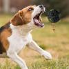 Dog Giggle Ball - Interactive Toy view 2