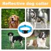 Reflective Nylon Dog Collar view 4