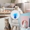 Uonguon Cat Toy Ball with Feather view 4