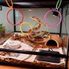 Hjatirace Snake Climbing Accessories view 2