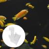 Beaupretty Acrylic Aquarium Feeding Cup, Cone-Shaped Red Glowing Fish Feeder for Mosquito Larvae and Frozen Food view 4