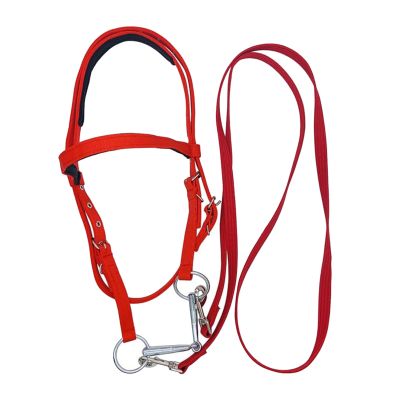 Draft Horse Bridle, Horse Neck Holder Bridle, Soft-Lined Strap