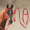 Draft Horse Bridle, Horse Neck Holder Bridle, Soft-Lined Strap view 2