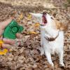 Generic Puppy Training Clicker view 3