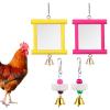Chicken Toy Mirror with Beak Grinder and Tartar Remover view 1