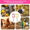 Chicken Toy Mirror with Beak Grinder and Tartar Remover view 4