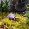 Reptile Heat Lamp Fixture, Space-Saving Dome Shade for Terrariums view 2