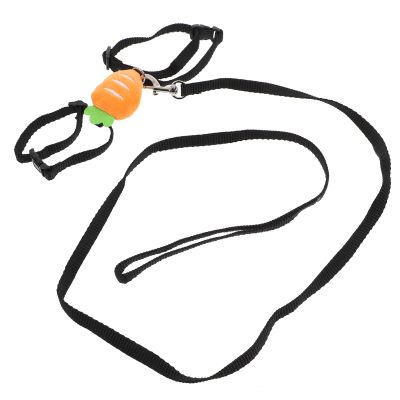 Rabbit Leash Pull Rope for Small Pets, Fabric, Rope-Shaped