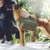 Zxfdsfdbnm Multifunctional Dog Backpack with Durable Polyester view 2