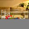 Betta Fish Training Ring Set view 2