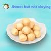 DAMAICHUHAI Coconut Candy, Asian Candy, Rich Coconut Flavor, Smooth Texture, Casual and Satisfying, 27g*2, 54g/1.9oz view 2