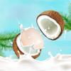 DAMAICHUHAI Coconut Candy, Asian Candy, Rich Coconut Flavor, Smooth Texture, Casual and Satisfying, 27g*2, 54g/1.9oz view 3