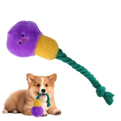 Squeaky Dog Toy, Plush Rope Chew Toy, 20.3 x 7.6 cm