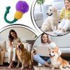 Squeaky Dog Toy, Plush Rope Chew Toy, 20.3 x 7.6 cm view 4