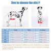 Dog Wheelchair for Hind Legs - Adjustable 2-Wheel Mobility Aid for Large Breeds view 3