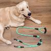 Double Dog Leash 150 cm Nylon Rope with 360-Degree Rotation, 212 g view 3