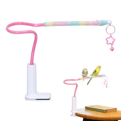 Bird Perch with Climbing Rope