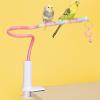 Bird Perch with Climbing Rope view 2