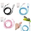 Pet Bird Leash - Elastic Training Rope, 2.5m view 2