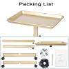 Mobile Salon Tray Cart with Adjustable Height for Professional Spa and Tattoo Applications view 4