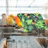 Bird Hammock for Cage - Parakeet Nest view 2