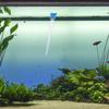 LOLIPPYY 30 ml Acrylic Aquarium Siphon Water Changer view 4